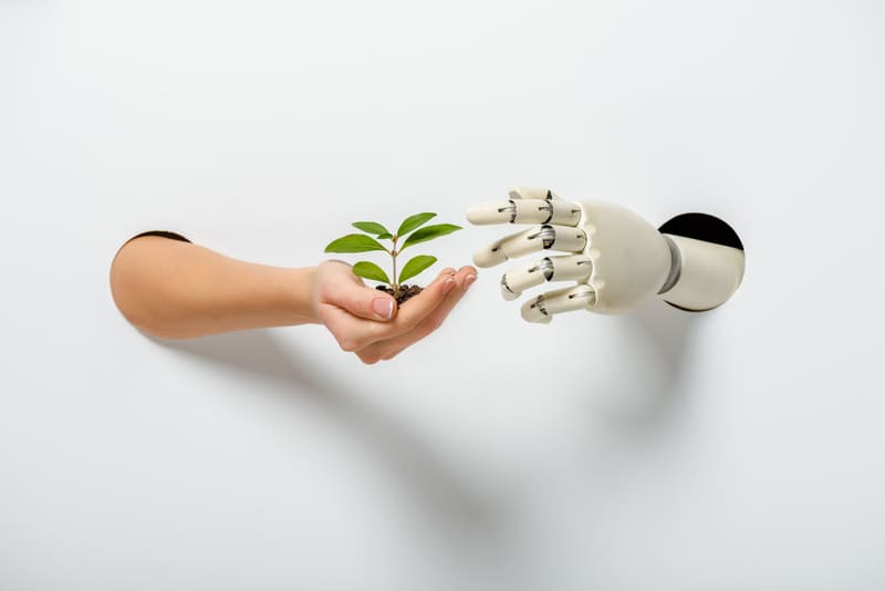 AI Agents for Sustainability: How to build smart applications